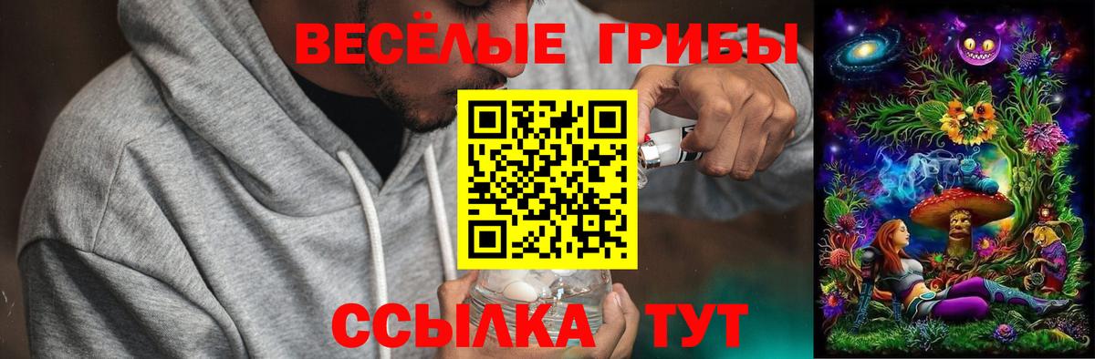 Галлюциногенные грибы Psilocybe  Псилоцибиновые грибы Psilocybine cubensis  Донской  Вход с VPN 